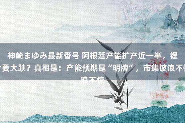 神崎まゆみ最新番号 阿根廷产能扩产近一半，锂价要大跌？真相是：产能预期是“明牌”，市集波浪不惊