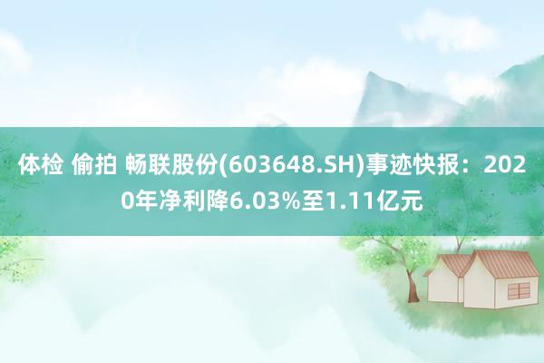 体检 偷拍 畅联股份(603648.SH)事迹快报：2020年净利降6.03%至1.11亿元