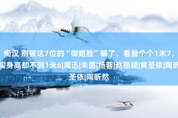 痴汉 别被这7位的“御姐脸”骗了，看脸个个1米7，真实身高却不到1米6|周迅|朱茵|杨蓉|赵丽颖|黄圣依|陶昕然