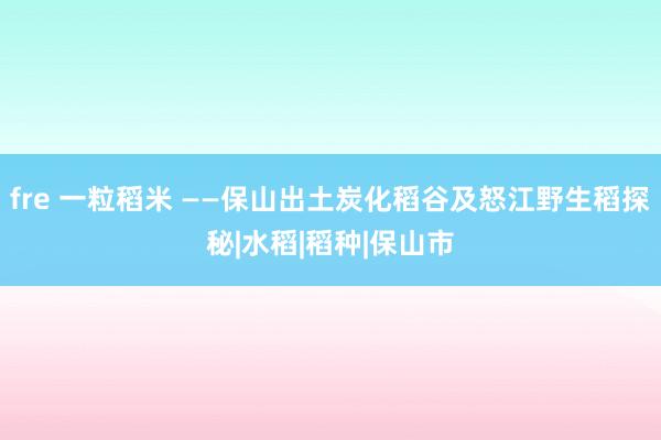 fre 一粒稻米 ——保山出土炭化稻谷及怒江野生稻探秘|水稻|稻种|保山市