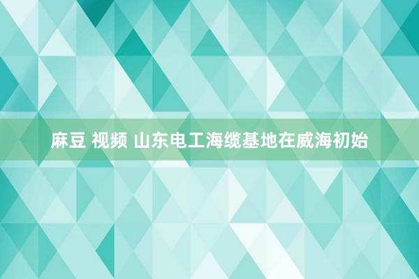 麻豆 视频 山东电工海缆基地在威海初始