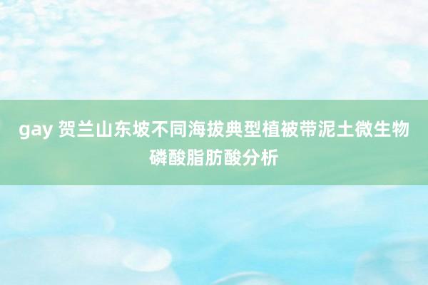 gay 贺兰山东坡不同海拔典型植被带泥土微生物磷酸脂肪酸分析