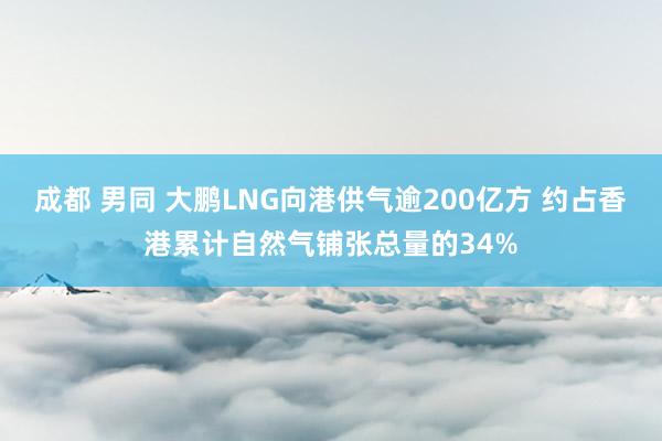 成都 男同 大鹏LNG向港供气逾200亿方 约占香港累计自然气铺张总量的34%